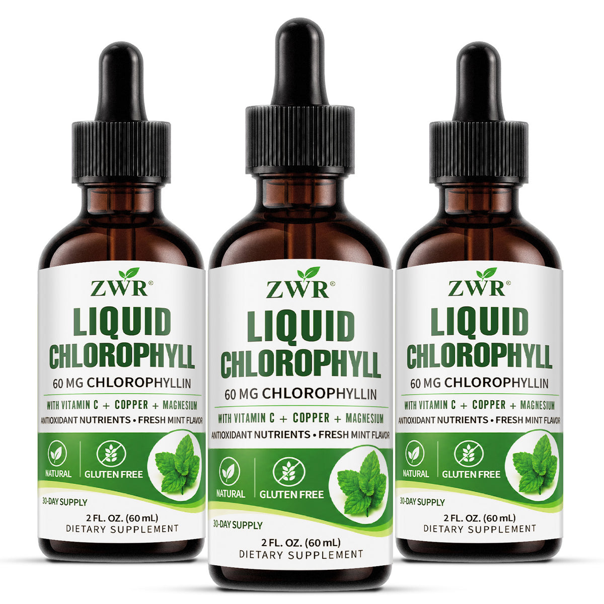 FRESH FROM WITHIN | ZWR Liquid Chlorophyll Complex Drops, 2 fl oz | 60 mg Chlorophyllin with Vitamin C, Copper & Magnesium | Fresh Mint Flavor | Freshness, Antioxidant Nutrients & Gut Health