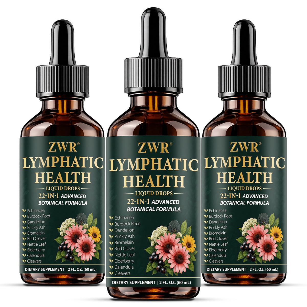 21-in-1 Herbal Lymphatic Health Drops, Echinacea Lymph Health Supplement, with Burdock Root, Echinacea, Plantain, Dandelion, for Body Balance & Healthy Defense, Great for Take 1ml Daily with Water, 60ml