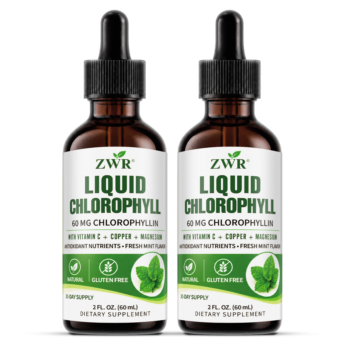 FRESH FROM WITHIN | ZWR Liquid Chlorophyll Complex Drops, 2 fl oz | 60 mg Chlorophyllin with Vitamin C, Copper & Magnesium | Fresh Mint Flavor | Freshness, Antioxidant Nutrients & Gut Health