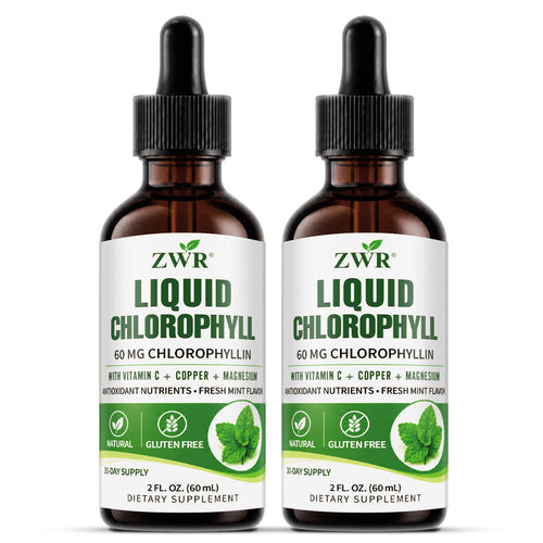 FRESH FROM WITHIN | ZWR Liquid Chlorophyll Complex Drops, 2 fl oz | 60 mg Chlorophyllin with Vitamin C, Copper & Magnesium | Fresh Mint Flavor | Freshness, Antioxidant Nutrients & Gut Health