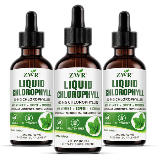 FRESH FROM WITHIN | ZWR Liquid Chlorophyll Complex Drops, 2 fl oz | 60 mg Chlorophyllin with Vitamin C, Copper & Magnesium | Fresh Mint Flavor | Freshness, Antioxidant Nutrients & Gut Health